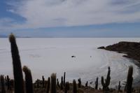 Wanderung auf der Insel Incahuasi auf dem Salzsee in Uyuni in Bolivien (2)