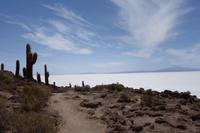 Wanderung auf der Insel Incahuasi auf dem Salzsee in Uyuni in Bolivien (4)