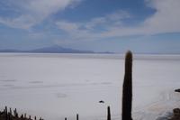 Wanderung auf der Insel Incahuasi auf dem Salzsee in Uyuni in Bolivien (5)