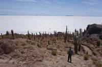 Wanderung auf der Insel Incahuasi auf dem Salzsee in Uyuni in Bolivien (6)