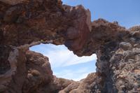 Wanderung auf der Insel Incahuasi auf dem Salzsee in Uyuni in Bolivien (11)