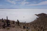 Wanderung auf der Insel Incahuasi auf dem Salzsee in Uyuni in Bolivien (12)