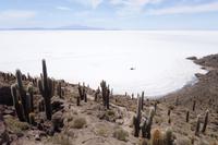 Wanderung auf der Insel Incahuasi auf dem Salzsee in Uyuni in Bolivien (1)