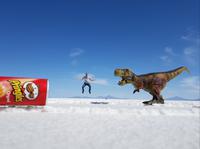 Jeepfahrt auf dem größten Salzsee der Welt in Uyuni in Bolivien (3)