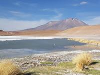 Besuch der Hochland-Lagunen Canapa, Honda und Hedionda in Bolivien (10)