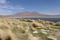 Besuch der Hochland-Lagunen Canapa, Honda und Hedionda in Bolivien (12)