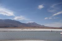 Besuch der Hochland-Lagunen Canapa, Honda und Hedionda in Bolivien (26)