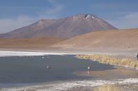 Besuch der Hochland-Lagunen Canapa, Honda und Hedionda in Bolivien (30)