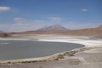 Besuch der Hochland-Lagunen Canapa, Honda und Hedionda in Bolivien (7)