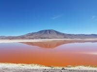 Laguna Colorada - Reserva Nacional de Fauna Andina Eduardo Abaroa - Bolivien (2)