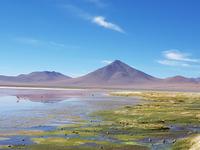 Die Reserva Nacional de Fauna Andina Eduardo Abaroa - Hochland Bolivien (2)