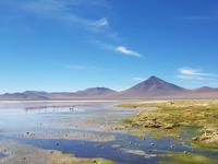 Die Reserva Nacional de Fauna Andina Eduardo Abaroa - Hochland Bolivien (1)