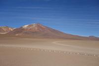 Siloli Wüste - Hochland - Bolivien (6)