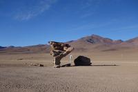 Siloli Wüste - Hochland - Bolivien (7)