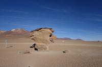 Siloli Wüste - Hochland - Bolivien (9)