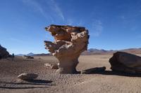 Siloli Wüste - Hochland - Bolivien (12)