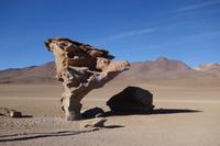 Siloli Wüste - Hochland - Bolivien (8)