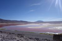 Wanderung Laguna Colorada - Eduardo Avaroa Nationalreservat - Bolivien (4)