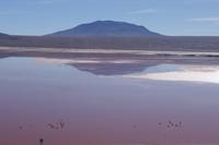 Wanderung Laguna Colorada - Eduardo Avaroa Nationalreservat - Bolivien (6)