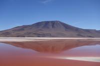 Wanderung Laguna Colorada - Eduardo Avaroa Nationalreservat - Bolivien (7)