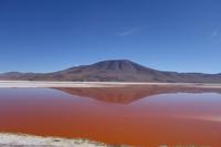 Wanderung Laguna Colorada - Eduardo Avaroa Nationalreservat - Bolivien (8)