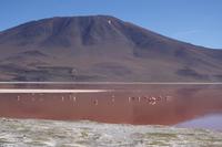 Wanderung Laguna Colorada - Eduardo Avaroa Nationalreservat - Bolivien (9)