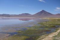 Wanderung Laguna Colorada - Eduardo Avaroa Nationalreservat - Bolivien (10)