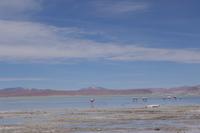 Thermalbad in Thermas de Polques - Eduardo Avaroa Nationalreservat - Bolivien (10)