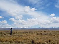 Cordillera Real Bergkette bei La Paz (3)