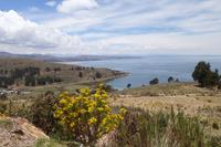 Titicaca See - Bolivien (15)