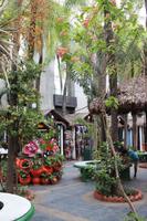 3 Markt in Santa Cruz