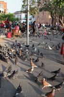 8 Innenstadt von Santa Cruz