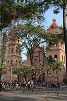 9 Kathedrale in Santa Cruz