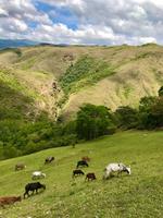 19 Landschaft auf dem Weg nach Samaipata