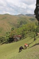 24 Landschaft auf dem Weg nach Samaipata