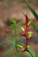 28 Cuevas Centro Ecologic - Auf dem Weg nach Samaipata