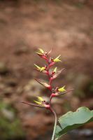 30 Cuevas Centro Ecologico - Auf dem Weg nach Samaipata