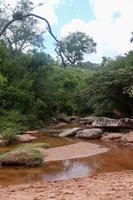 39 Cuevas Centro Ecologico - Auf dem Weg nach Samaipata