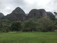 65 Amboro Nationalpark