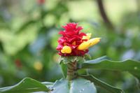 67 Amboro Nationalpark