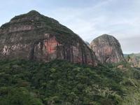 86 Amboro Nationalpark