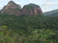 87 Amboro Nationalpark