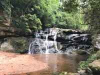 90 Amboro Nationalpark