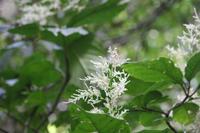 100 Amboro Nationalpark