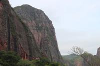 102 Amboro Nationalpark