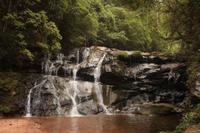 104 Amboro Nationalpark