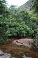 107 Amboro Nationalpark