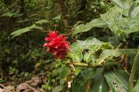 109 Amboro Nationalpark