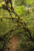 120 Amboro Nationalpark