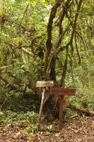 121 Amboro Nationalpark